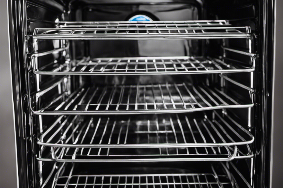 How to Clean Oven Racks in Bathtub Best Modern Toilet