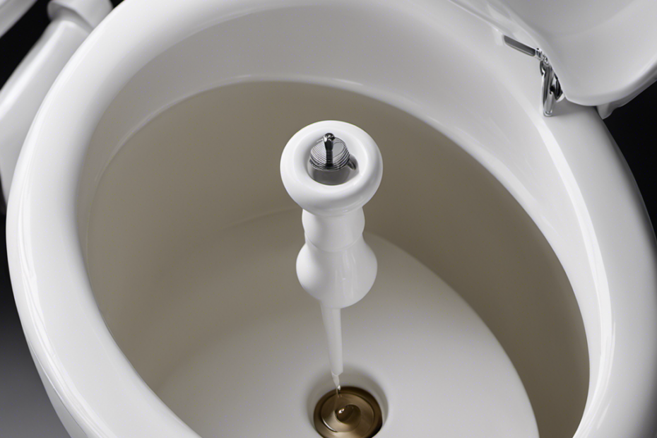 How to Use Plunger on Toilet Best Modern Toilet