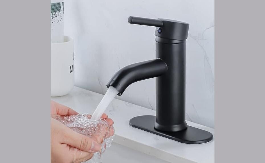 sleek black bathroom faucet