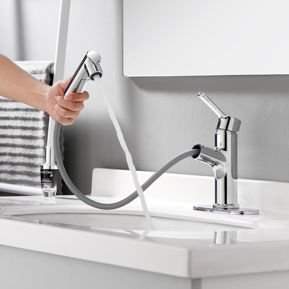 LAZ HOME Bathroom Faucet with Pull Out Sprayer