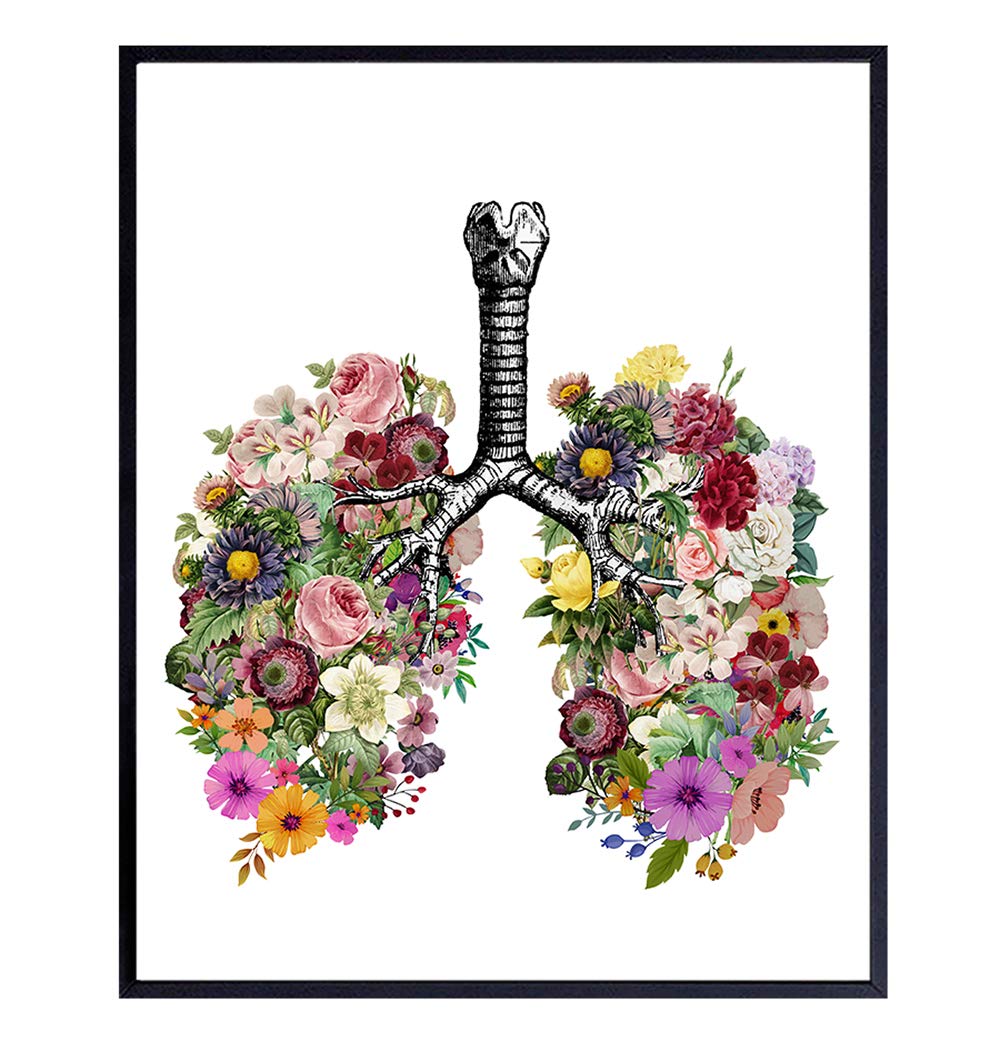 Vintage Lungs Wall Decor Picture Poster