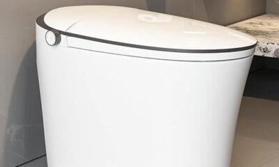 deervalley smart toilet review