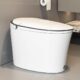 deervalley smart toilet review