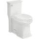 detailed review of american standard town square s toilet