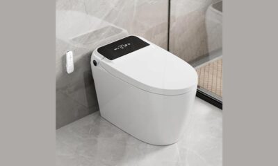 in depth review of ldian smart toilet