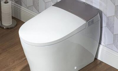 luxurious and functional smart toilet