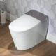 luxurious and functional smart toilet