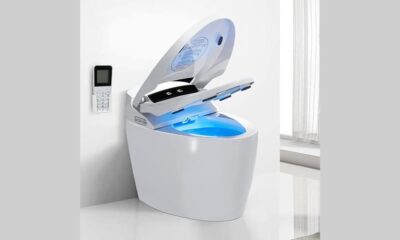 luxury and hygienic smart toilet