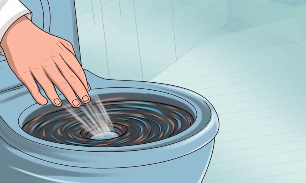 Can You Flush Toilet Paper in Cali Colombia Best Modern Toilet