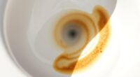 remove toilet bowl stains