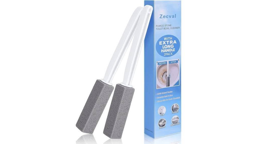 dual pumice toilet brush