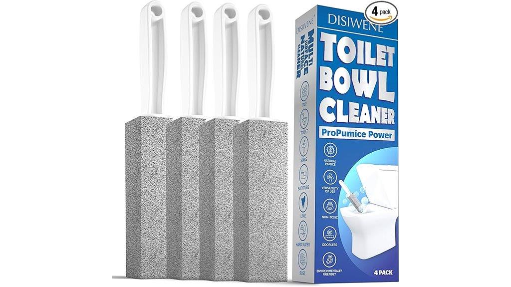 pumice stone cleaning pack