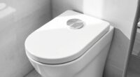 top dual flush elongated toilets