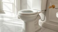 top high tank toilet picks