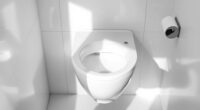 top tankless toilet options