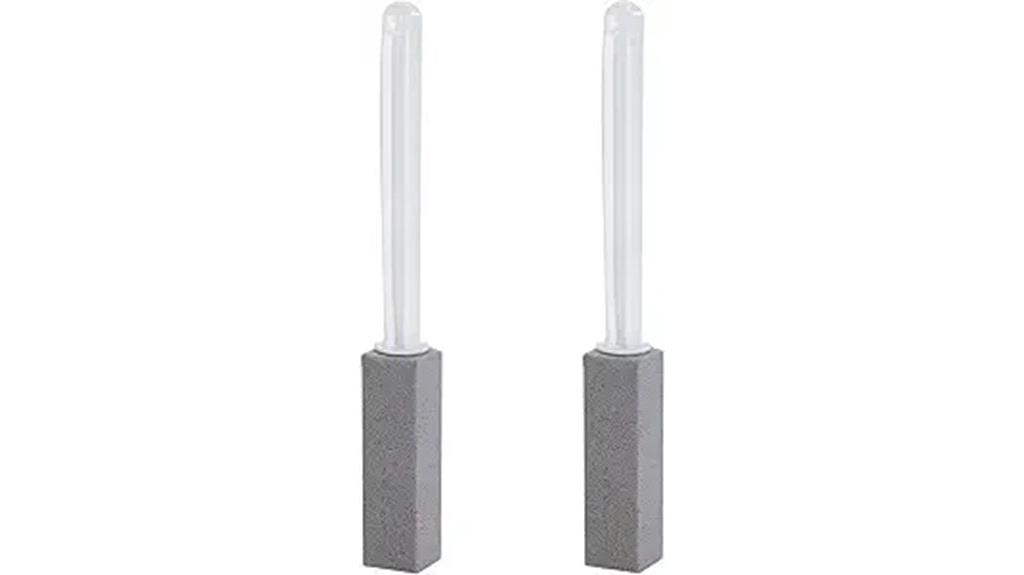 two pack pumice cleaning stones