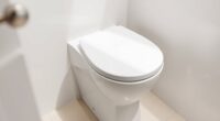 compact in tank toilet design