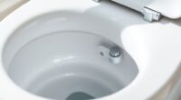dual flush toilet leak troubleshooting