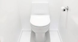 small bathroom compact toilets