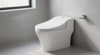 top low flow toilets