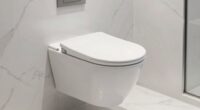 top wall mounted toilet options