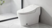 top water efficient toilet options