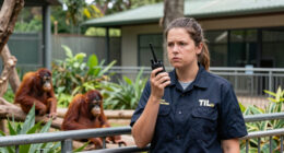 TIL in 2017 Perth Zoo was put on lockdown when two orangutans briefly escaped their enclosure. A 5-year-old male orangutan fell over a barrier & into a garden bed outside the enclosure. His mom then simply went to retreive him before using the visitor boardwalk to go back to her exhibit voluntarily.
