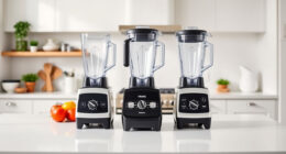 Vitamix E310 Explorian Review: Pros, Cons & Who It's For