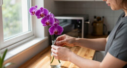 Costco’s $25 Floating Orchids Look Better Than A $500 Florist Arrangement