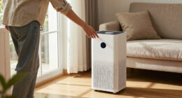 14 Best Smart Air Purifiers for Connected, Cleaner Air in 2027