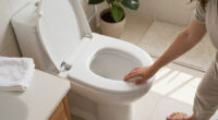 15 Best Heated Toilet Seats for Year-Round Comfort in 2027